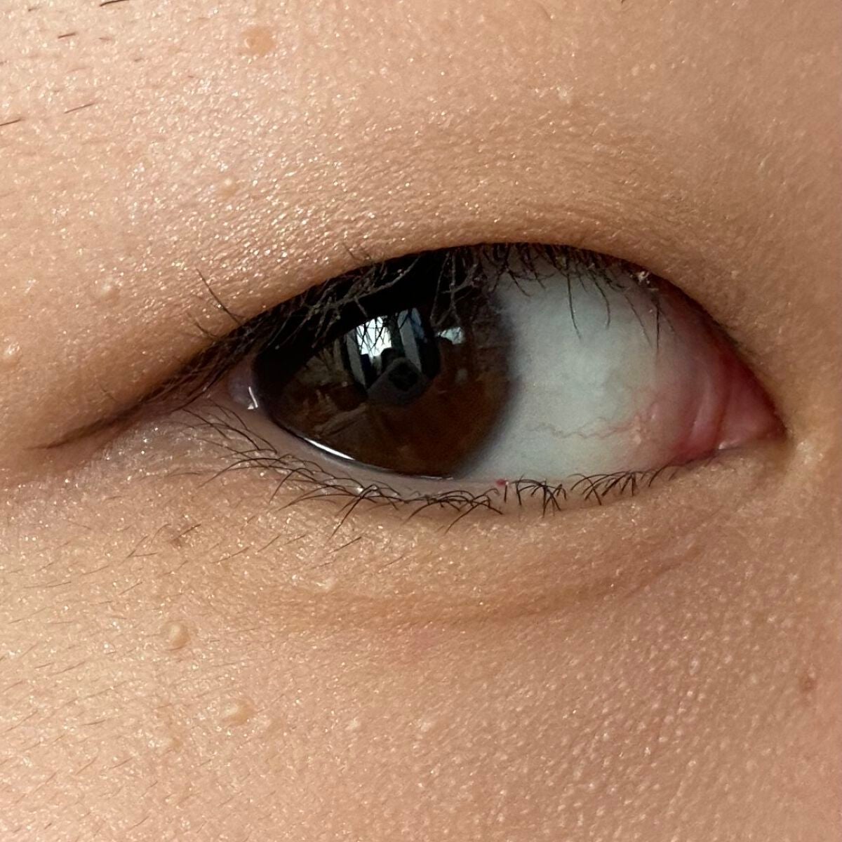 THE アイパレR/b idol/アイシャドウパレットを使ったクチコミ(4枚目)