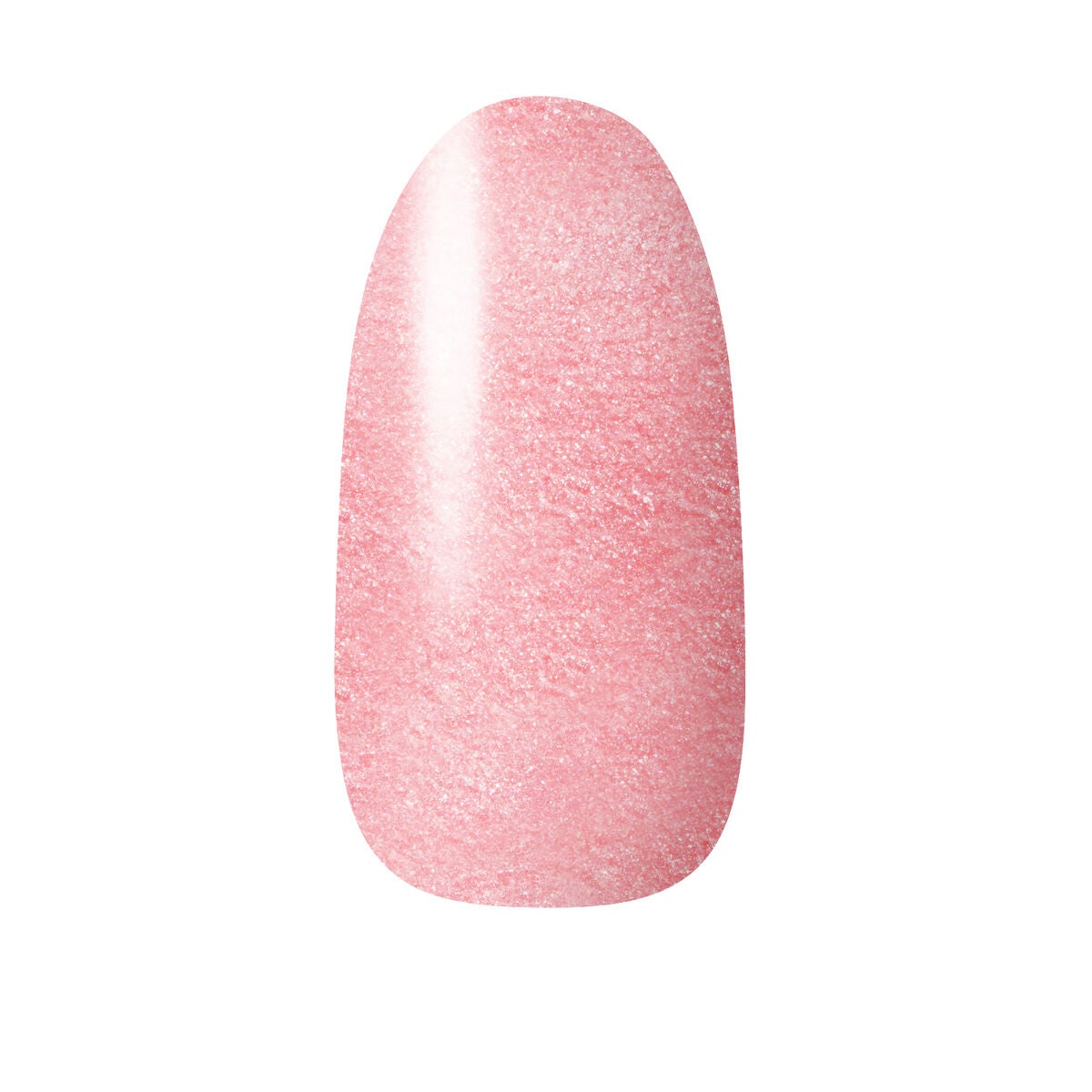 ネイルホリック フローズンシュガー PK860