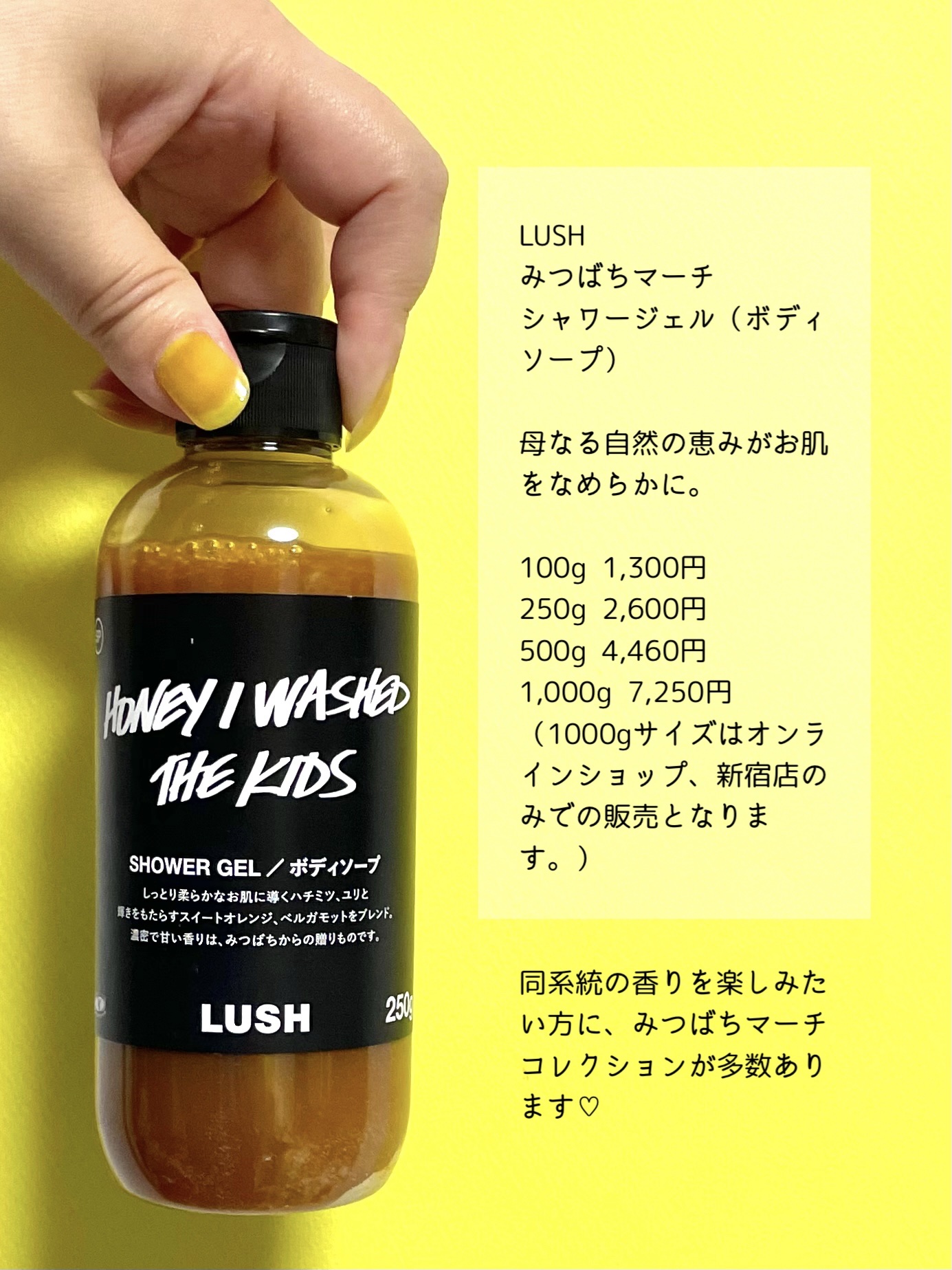 新品未使用 LUSH みつばちマーチ シャワージェル 500ml 2本セット 楽天市場】公式 LUSH みつばちマーチ シャワージェル ボディ