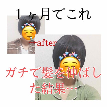 DHC マルチビタミン/DHC/美容サプリメントを使ったクチコミ(1枚目)