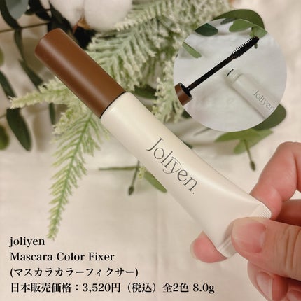 マスカラカラーフィクサー/Joliyen/眉マスカラを使ったクチコミ(1枚目)