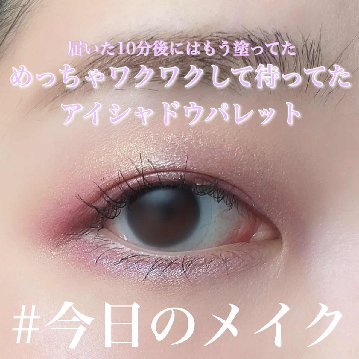 エクスプローラ12色 動物アイシャドウパレット/PERFECT DIARY/アイシャドウパレットを使ったクチコミ（1枚目）