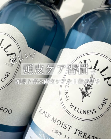 薬用スカルプケアシャンプー/トリートメント モイスト/WELLP/市販シャンプーを使ったクチコミ(5枚目)
