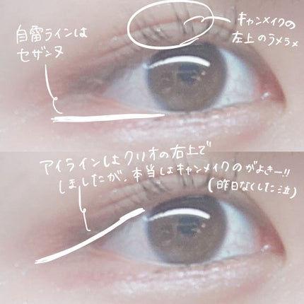 ロング&カールマスカラ アドバンストフィルム/ヒロインメイク/マスカラを使ったクチコミ(4枚目)