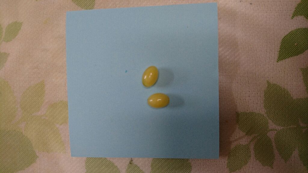 リラックスの素/DHC/健康サプリメントを使ったクチコミ(3枚目)