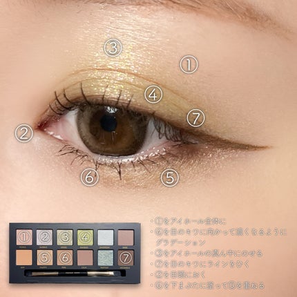 エクスプローラ12色 動物アイシャドウパレット/PERFECT DIARY/アイシャドウパレットを使ったクチコミ(7枚目)