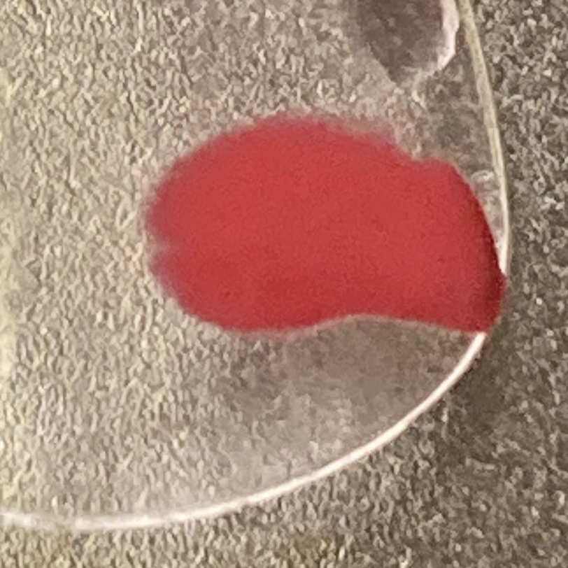 プリラプリラ/イオン/マニキュアを使ったクチコミ（2枚目）