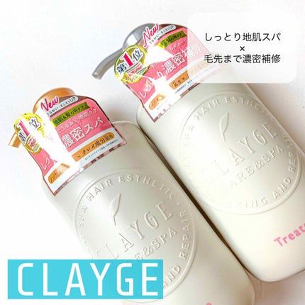 シャンプー/トリートメント DN ダメージケア/CLAYGE/シャンプー・コンディショナーを使ったクチコミ(1枚目)