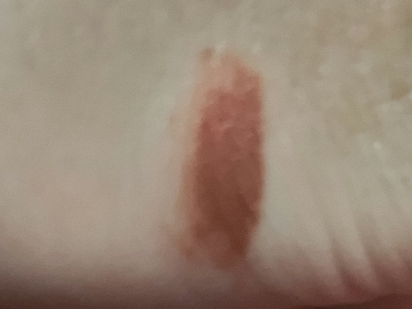 MOTE MASCARA™ (モテマスカラ)/UZU BY FLOWFUSHI/マスカラを使ったクチコミ(3枚目)