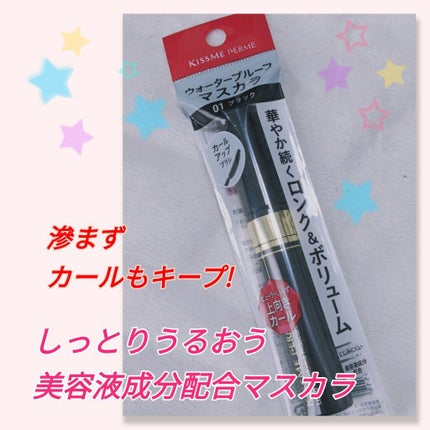 ロング&ボリュームマスカラ WP/キスミー フェルム/マスカラを使ったクチコミ(1枚目)