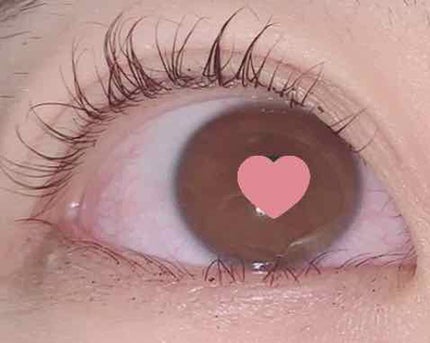 ラッシュアディクト アイラッシュコンディショニングセラム/soaddicted/まつげ美容液を使ったクチコミ(2枚目)