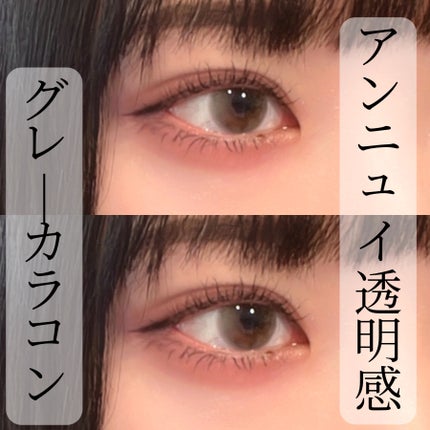 perse 1day/perse/ワンデー(1DAY)カラコンを使ったクチコミ(1枚目)
