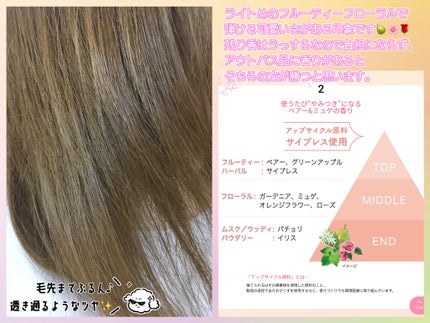 SS ビオリス ピュアレタッチ ぺたふぅわ シャンプー/ヘアコンディショナー/SSビオリス/市販シャンプーを使ったクチコミ(4枚目)