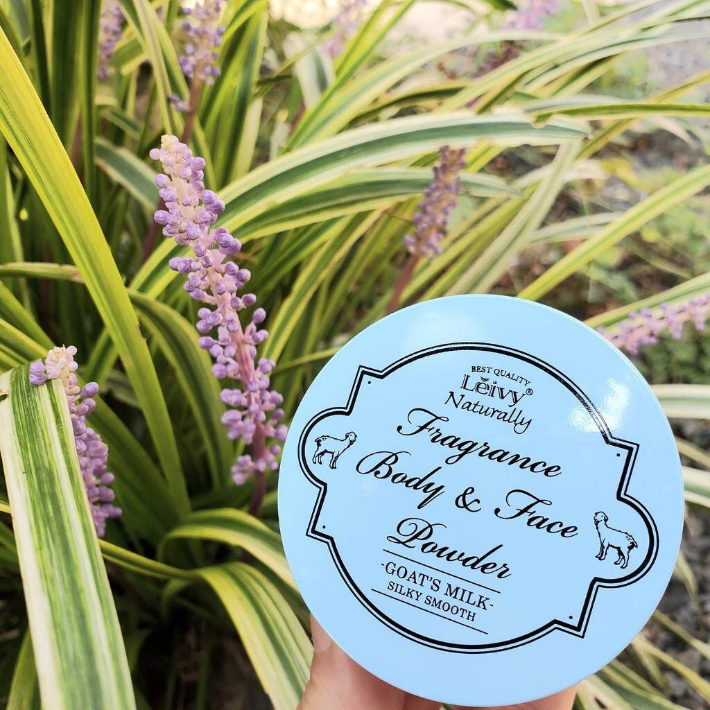 フレグランス ボディ&フェイスパウダー ゴートミルク/Leivy/ルースパウダーを使ったクチコミ(1枚目)