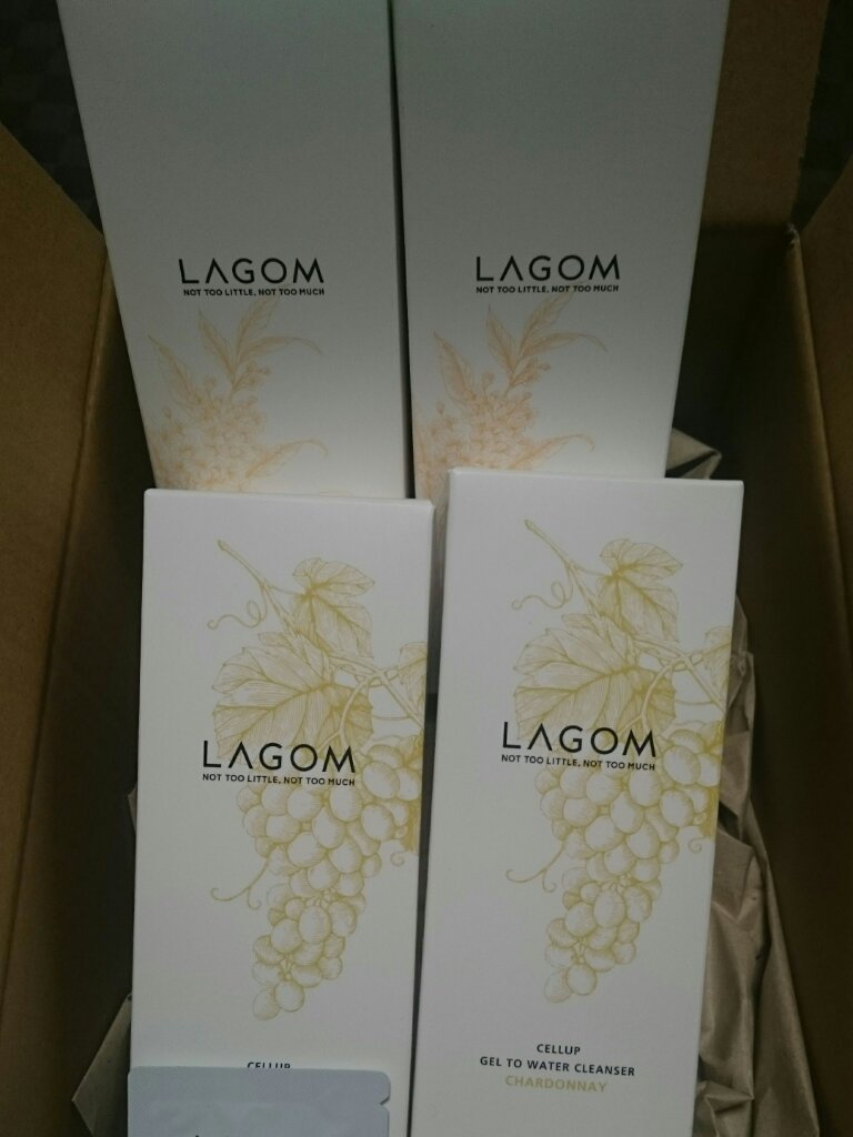 ジェルトゥウォーター クレンザー（CH）/LAGOM /その他洗顔料を使ったクチコミ（2枚目）