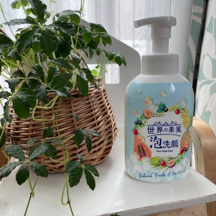 世界の果実 すっきり泡洗顔/世界の果実/泡洗顔を使ったクチコミ(1枚目)