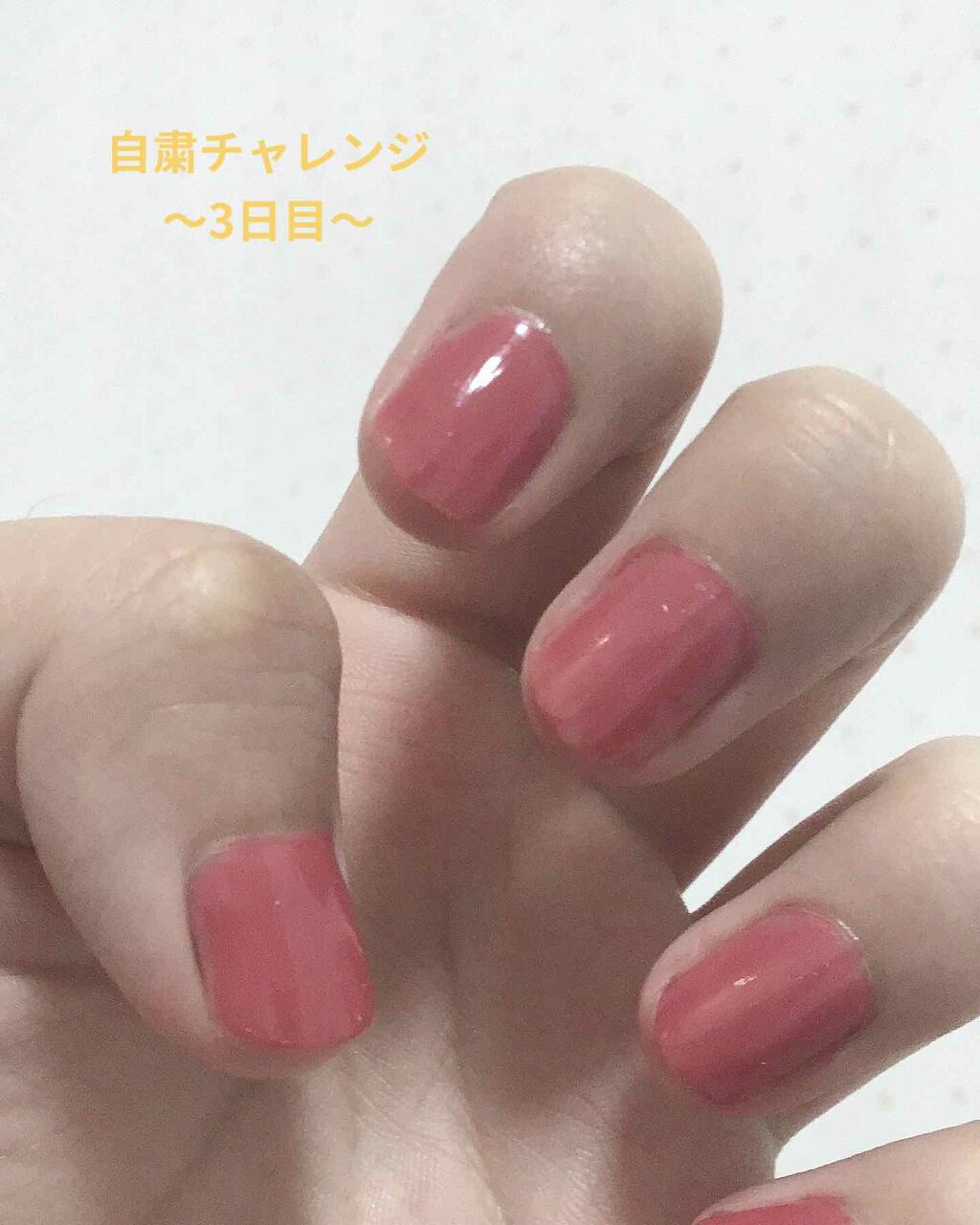 カラフルネイルズ/キャンメイク/マニキュアを使ったクチコミ（1枚目）