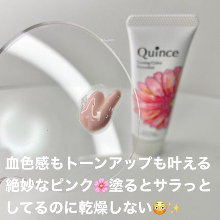 ラスティングカラースムーザー 01 ピンクベージュ/Quince/化粧下地を使ったクチコミ(2枚目)