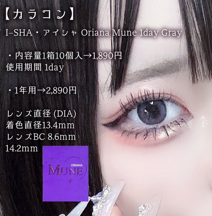 グロッシーリッチ アイズ N/Visée/アイシャドウパレットを使ったクチコミ(5枚目)