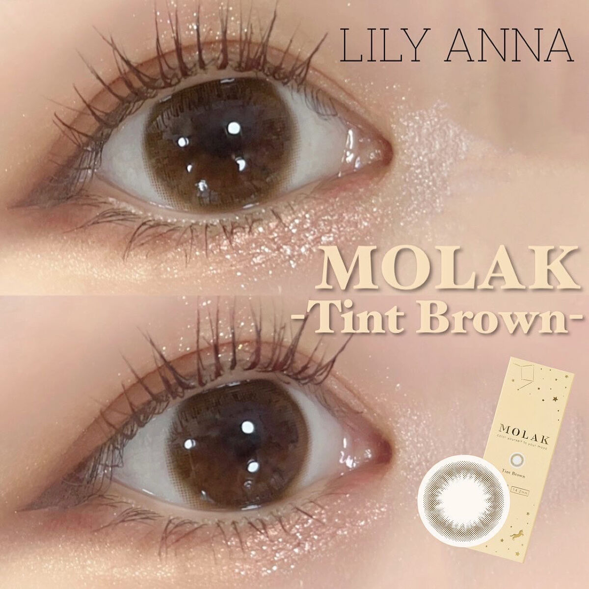 MOLAK 1day ティントブラウン/MOLAK/ワンデー（１DAY）カラコンを使ったクチコミ（1枚目）