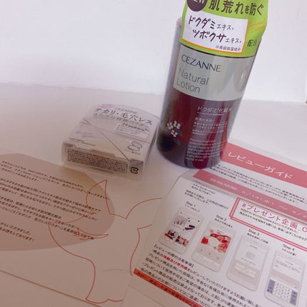 毛穴レスパウダー/CEZANNE/プレストパウダーを使ったクチコミ(1枚目)