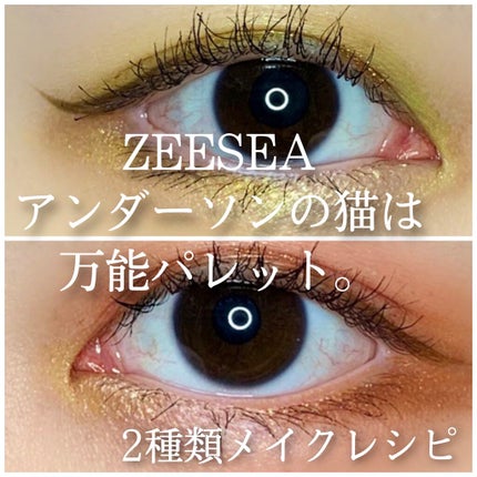 大英博物館 エジプトシリーズ アイシャドウパレット/ZEESEA/アイシャドウパレットを使ったクチコミ(1枚目)