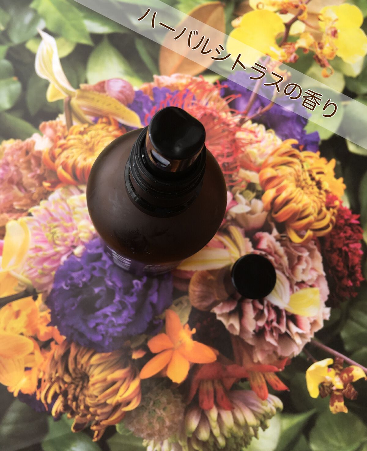 薬用スカルプセラム/wicot/頭皮ローションを使ったクチコミ(4枚目)