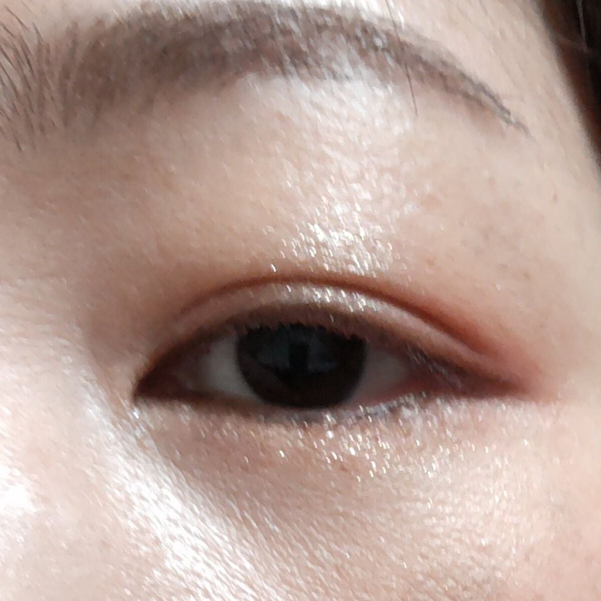 クロマティックス ウキバナジンジャー/shu uemura/アイシャドウパレットを使ったクチコミ(3枚目)