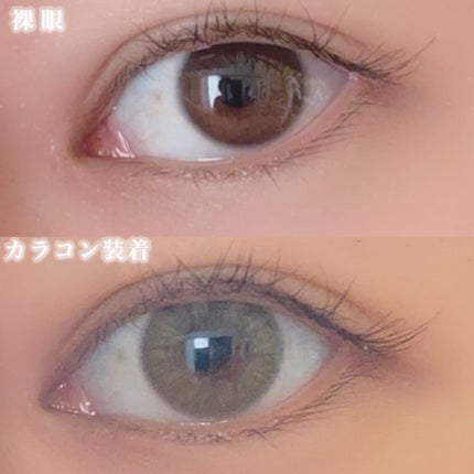 #CHOUCHOU(チュチュ)1day/CHOUCHOU/ワンデー(1DAY)カラコンを使ったクチコミ(3枚目)