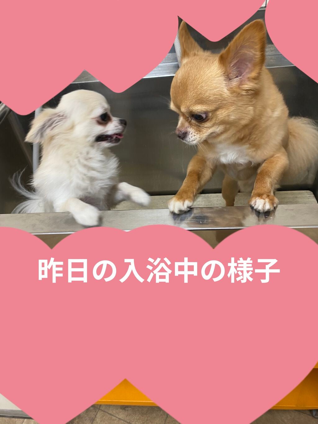 エルジューダ ブリーチケア ジェルセラム/ミルボン/洗い流すヘアトリートメントを使ったクチコミ(9枚目)