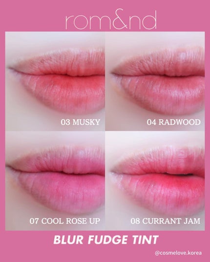 rom&nd ブラーファッジティント/rom&nd/リップティントを使ったクチコミ(10枚目)