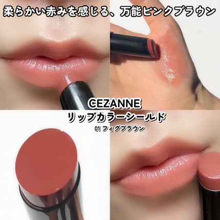 リップカラーシールド/CEZANNE/口紅を使ったクチコミ(4枚目)