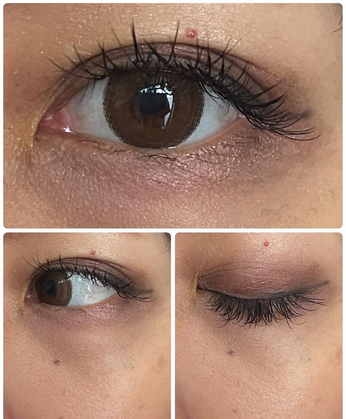 トレジャー アイシャドウ パレット ×6/M・A・C/アイシャドウパレットを使ったクチコミ(5枚目)