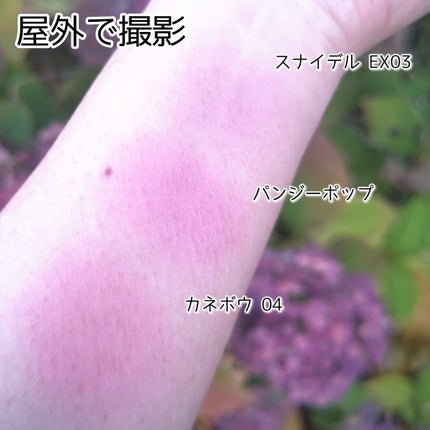 カネボウ ムードブースティングブラッシュ 04 Petal Berry Clarity/KANEBO/パウダーチークの画像