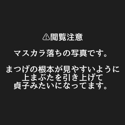 ラッシュガーディアン アングラヴィティマスカラ/LASHGUARDIAN/マスカラを使ったクチコミ(5枚目)