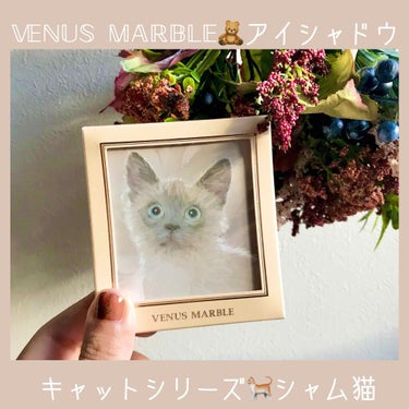 Venus Marble アイシャドウキャットシリーズ/Venus Marble/アイシャドウパレットを使ったクチコミ（1枚目）