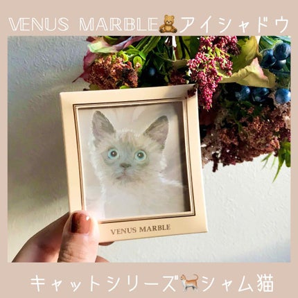 Venus Marble アイシャドウキャットシリーズ/Venus Marble/アイシャドウパレットを使ったクチコミ(1枚目)