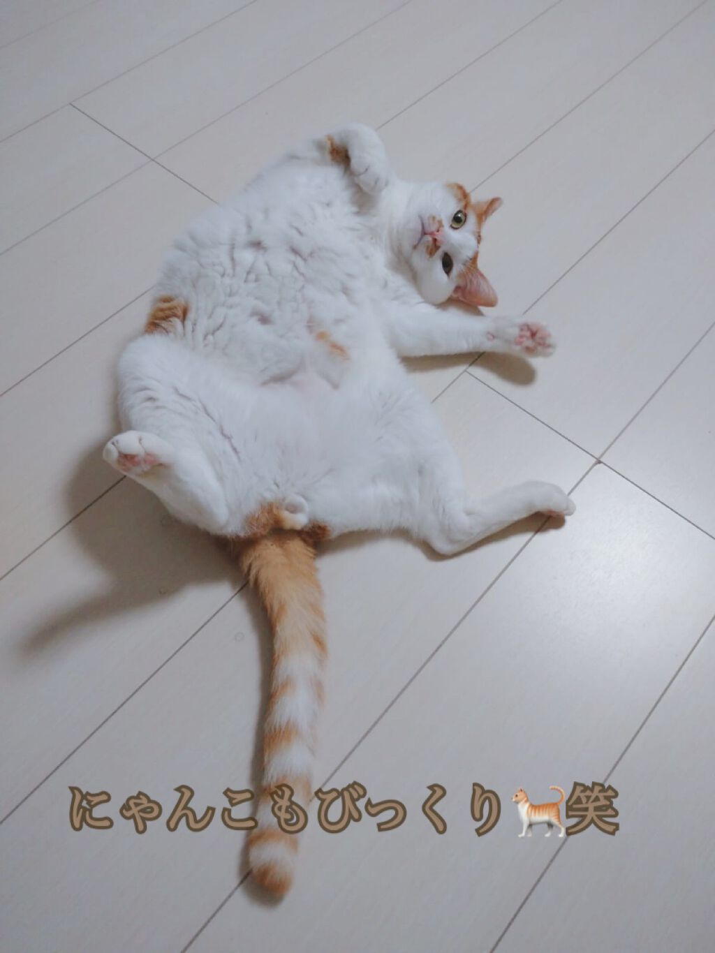 カラートリートメント/サイオス/ヘアカラーを使ったクチコミ(4枚目)