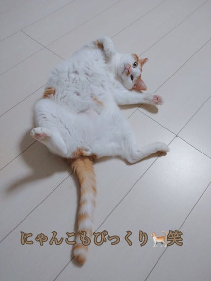 カラートリートメント/サイオス/ヘアカラーを使ったクチコミ(4枚目)