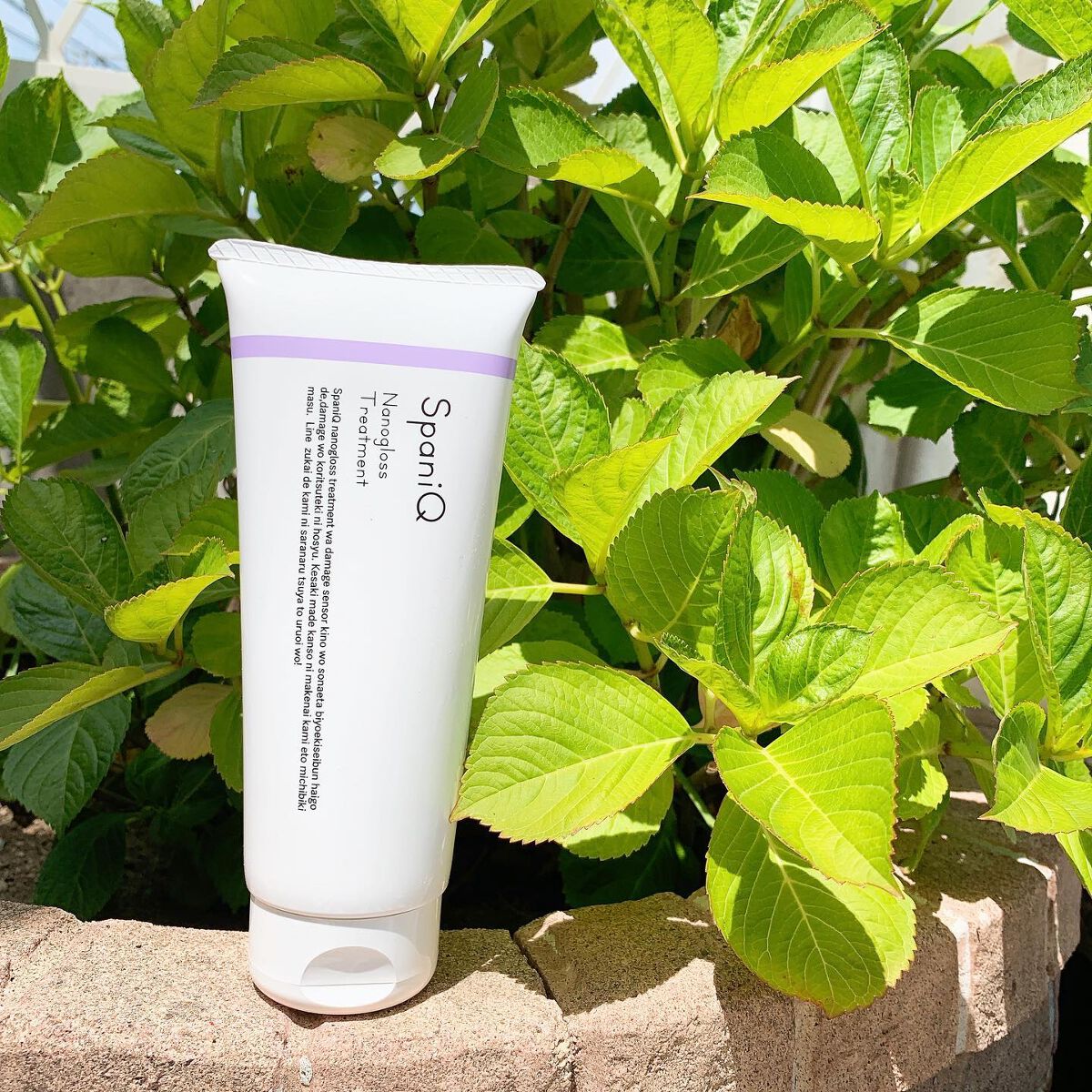 ナノグロストリートメント/SpaniQ/洗い流すヘアトリートメントを使ったクチコミ（1枚目）