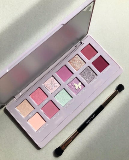 エクスプローラ12色 動物アイシャドウパレット バタフライ/PERFECT DIARY/アイシャドウパレットを使ったクチコミ(2枚目)