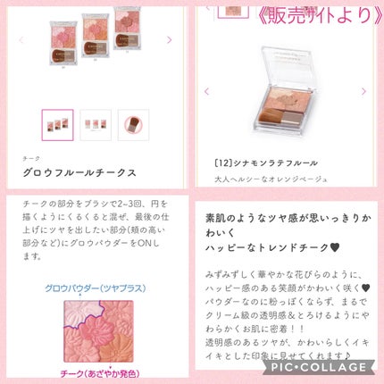 グロウフルールチークス/キャンメイク/パウダーチークを使ったクチコミ(4枚目)