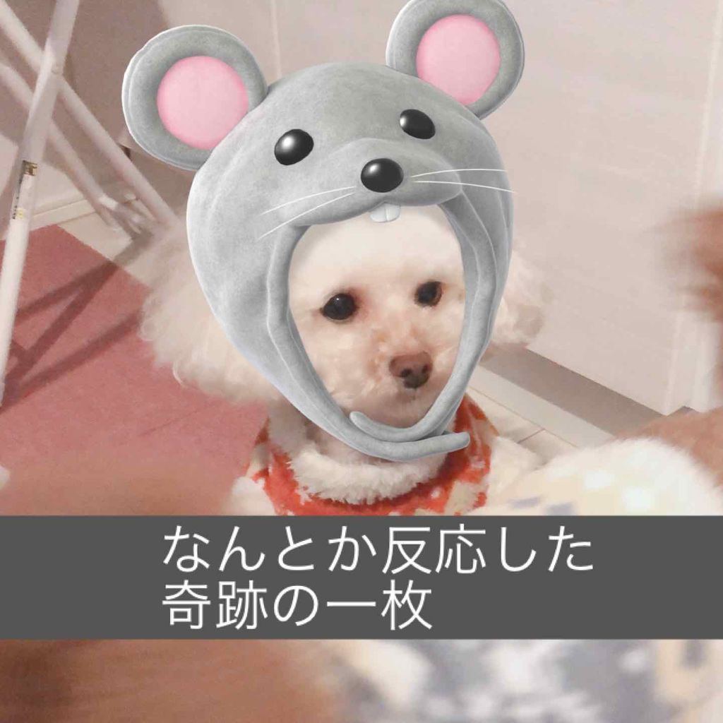 フレア フレグランス IROKA エアリー/IROKA/柔軟剤を使ったクチコミ（2枚目）