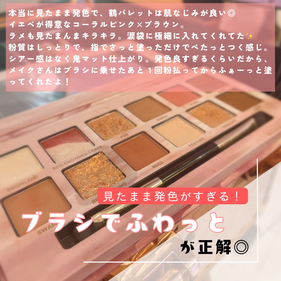 エクスプローラ12色 動物アイシャドウパレット タンチョウ鶴/PERFECT DIARY/アイシャドウパレットを使ったクチコミ（3枚目）