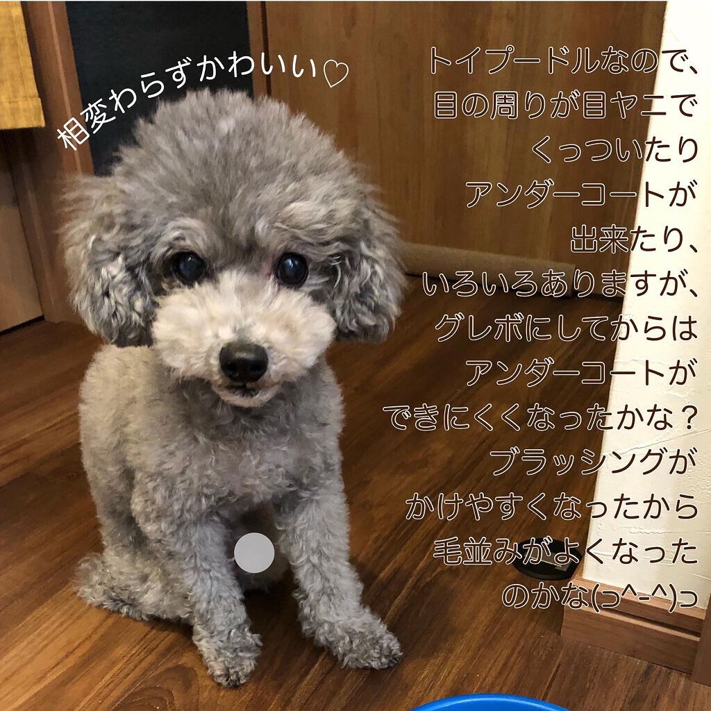 を使ったクチコミ（3枚目）