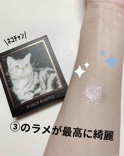 Venus Marble アイシャドウキャットシリーズ/Venus Marble/アイシャドウパレットを使ったクチコミ(3枚目)