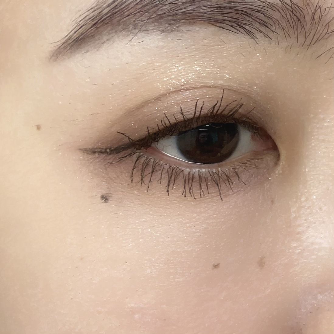 MDショールモーメント アイシャドウパレット/mude./アイシャドウパレットを使ったクチコミ（2枚目）