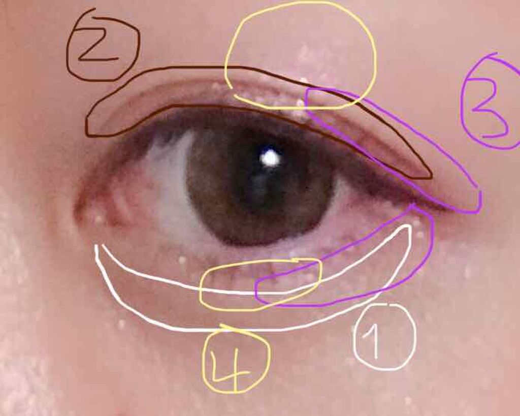 トーンアップアイシャドウ/CEZANNE/アイシャドウパレットを使ったクチコミ（3枚目）