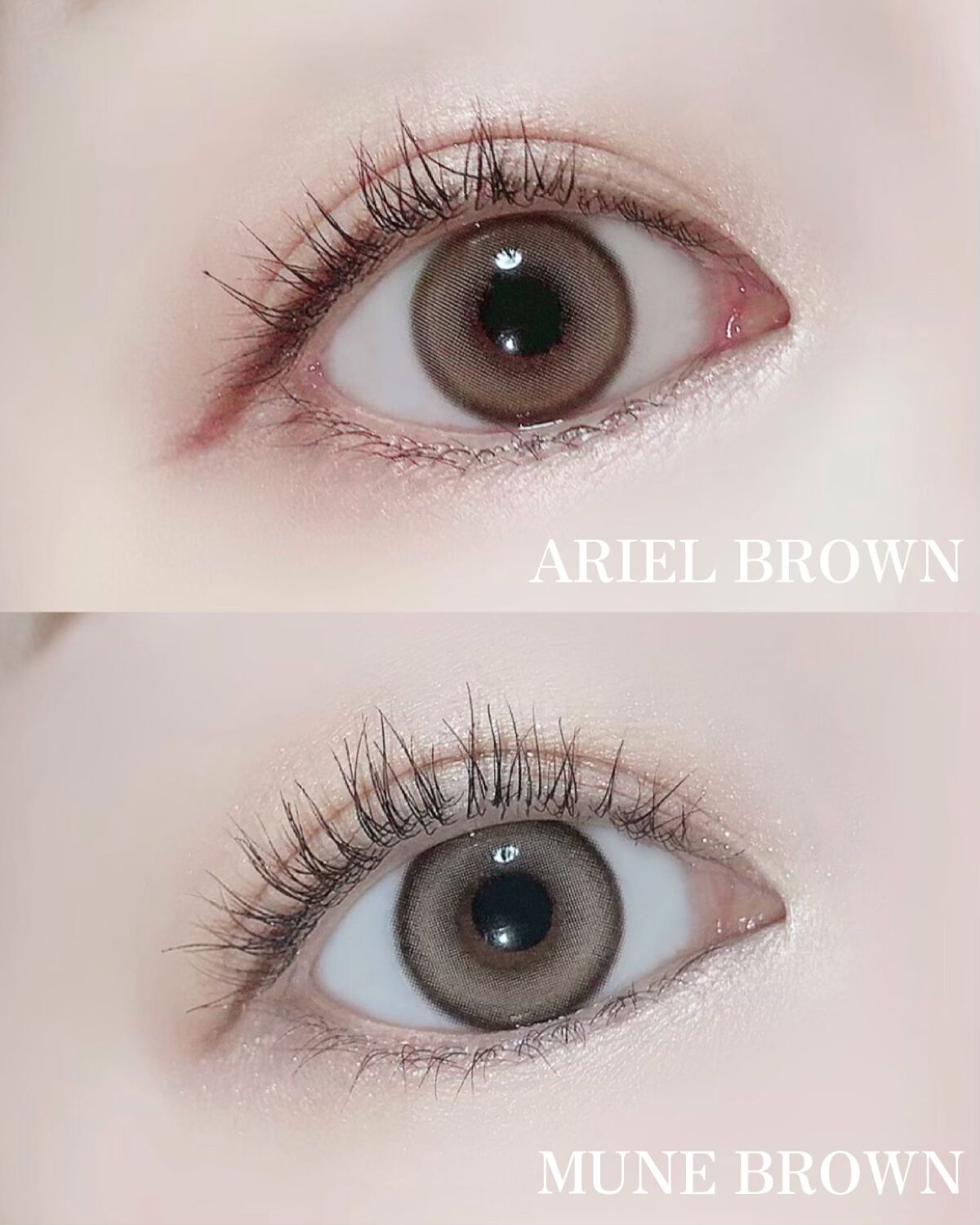 ORIANA ARIEL/i-sha/カラーコンタクトレンズを使ったクチコミ(1枚目)