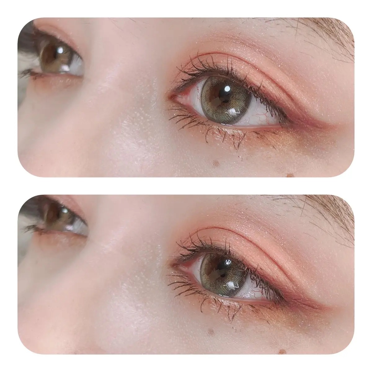 エレガンス ヌーヴェル アイズ/Elégance/アイシャドウパレットを使ったクチコミ（1枚目）